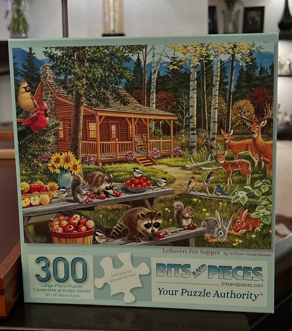 Disney Princess: Adult Colouring Book & Puzzle Pieces