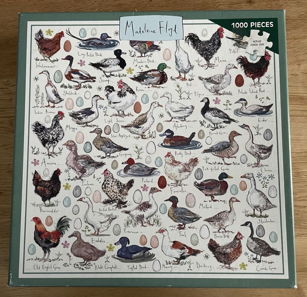 Cats Playing Chess 500 Exploding Kittens Puzzle Pchess 500 6