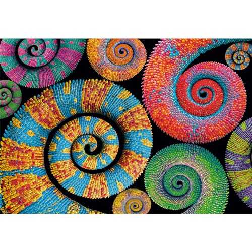 Hardie Grant Renewal: Piece Puzzle