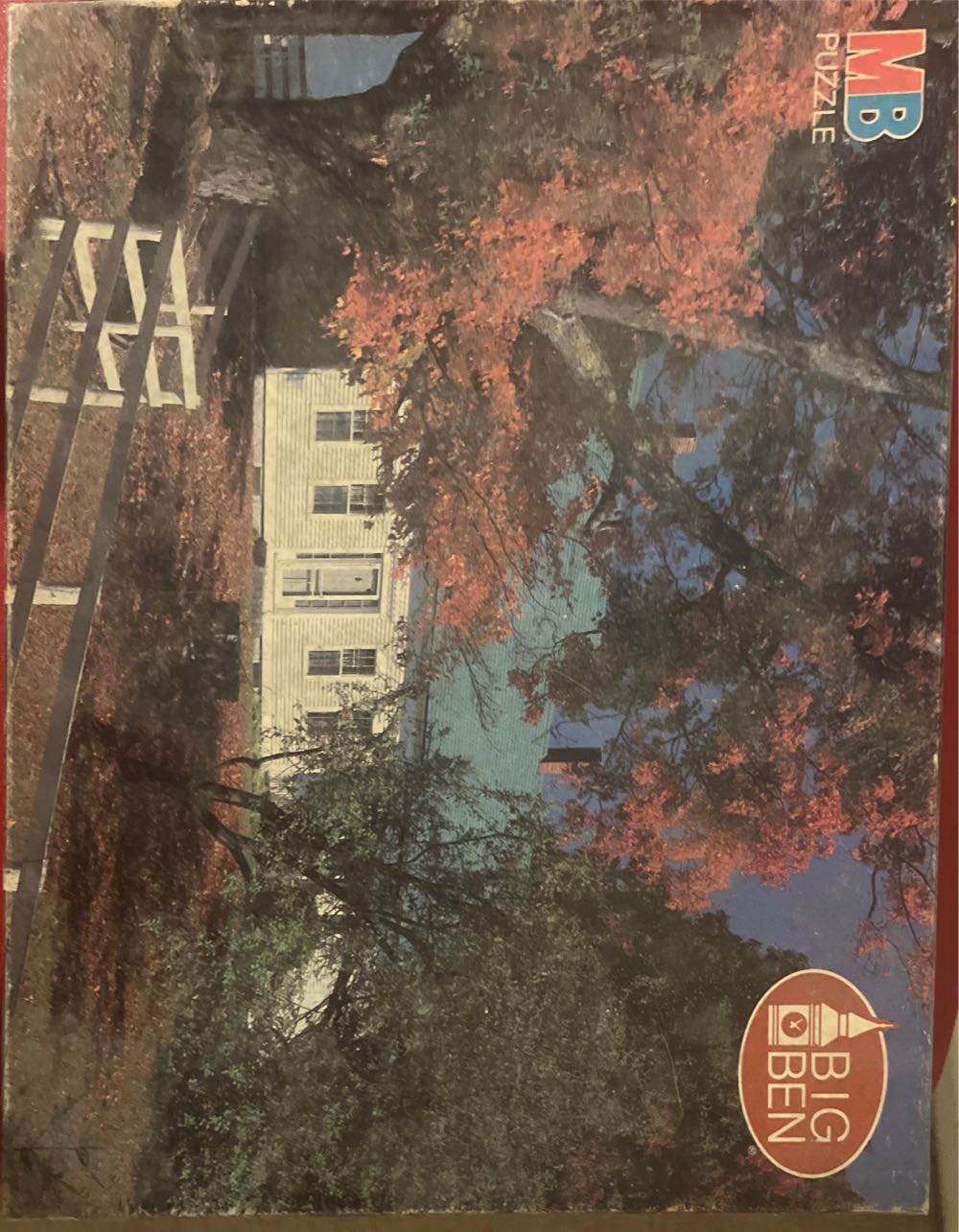 The Girl With Pearl Earring