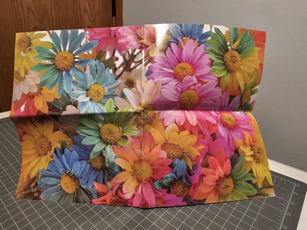 Dowdle - Jigsaw Best Of America ✅ Clifty