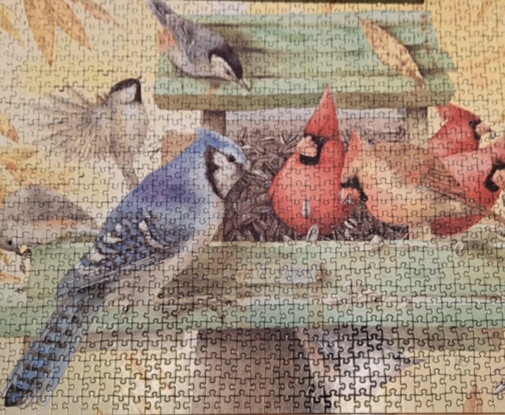 Birds 🟦🇨🇦 - Heye Puzzle puzzle collectible [Barcode 4001689292034] - Main Image 3