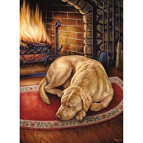 Cartoon Collection Usa 