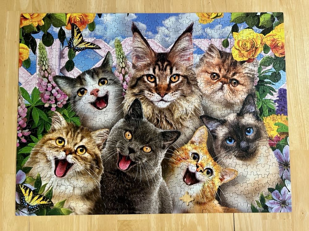 Selfies - Ceaco puzzle collectible [Barcode 021081232623] - Main Image 2