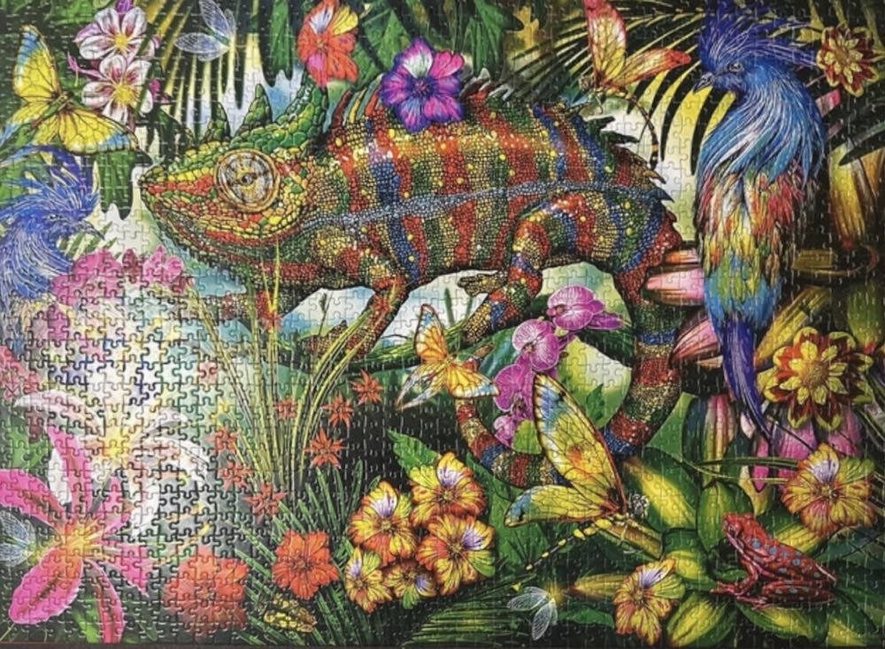 Colour Competition - Castorland puzzle collectible [Barcode 5904438152162] - Main Image 3