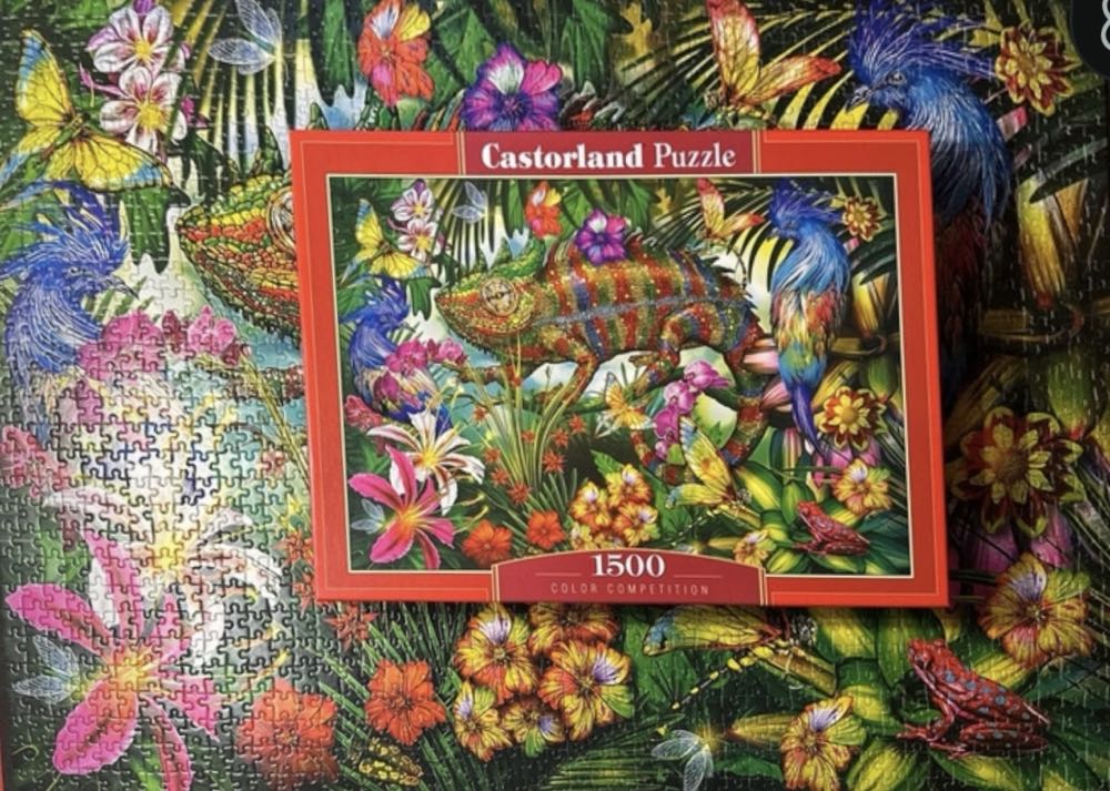 Colour Competition - Castorland puzzle collectible [Barcode 5904438152162] - Main Image 4
