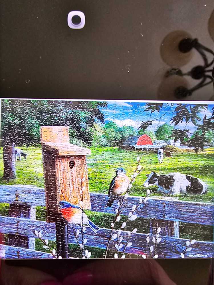 Below Corfe Castle (Linda van Den Broek)