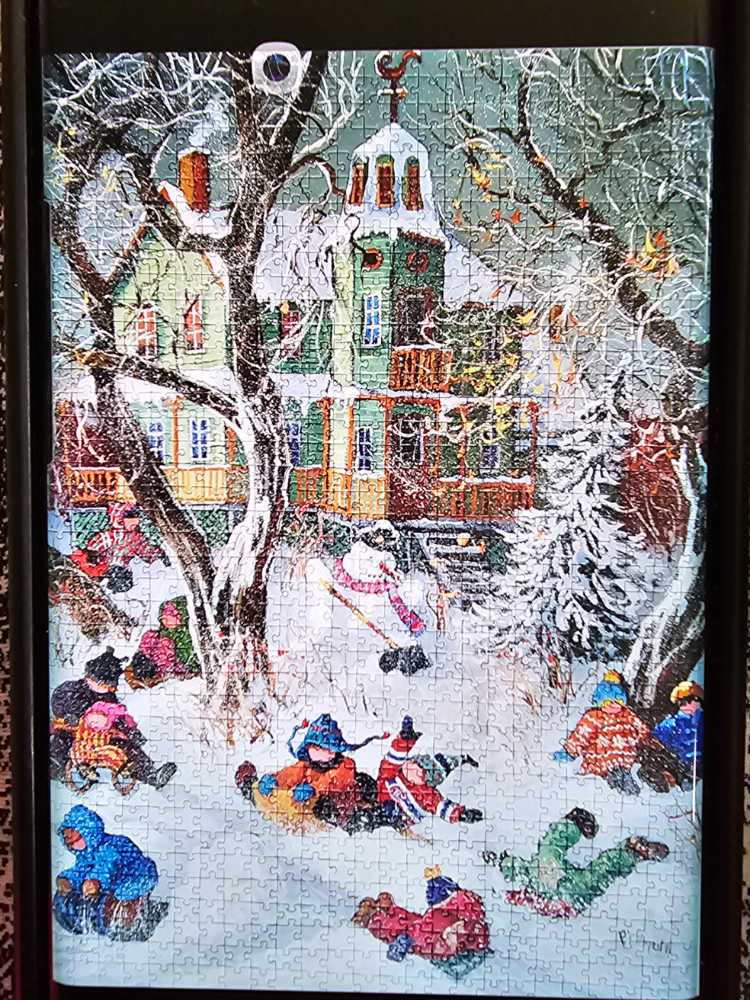 Aeg & Flatout Games | Cascadia Award-winning Board Game Set In The Pacific Northwest | Easy To Learn | Quick To Play | Ages 10