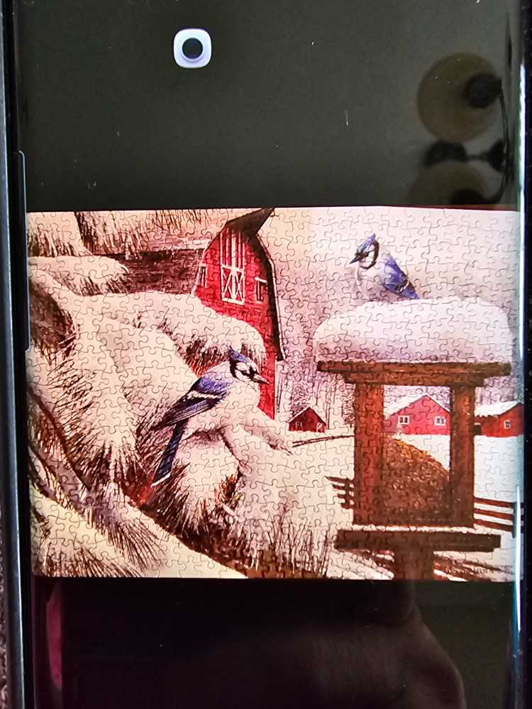 John N. Hansen Co. Orbis Terrarum Nova Pc Puzzle