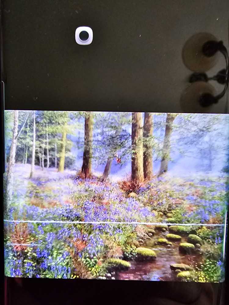 D-1000-145: In the wooden tree