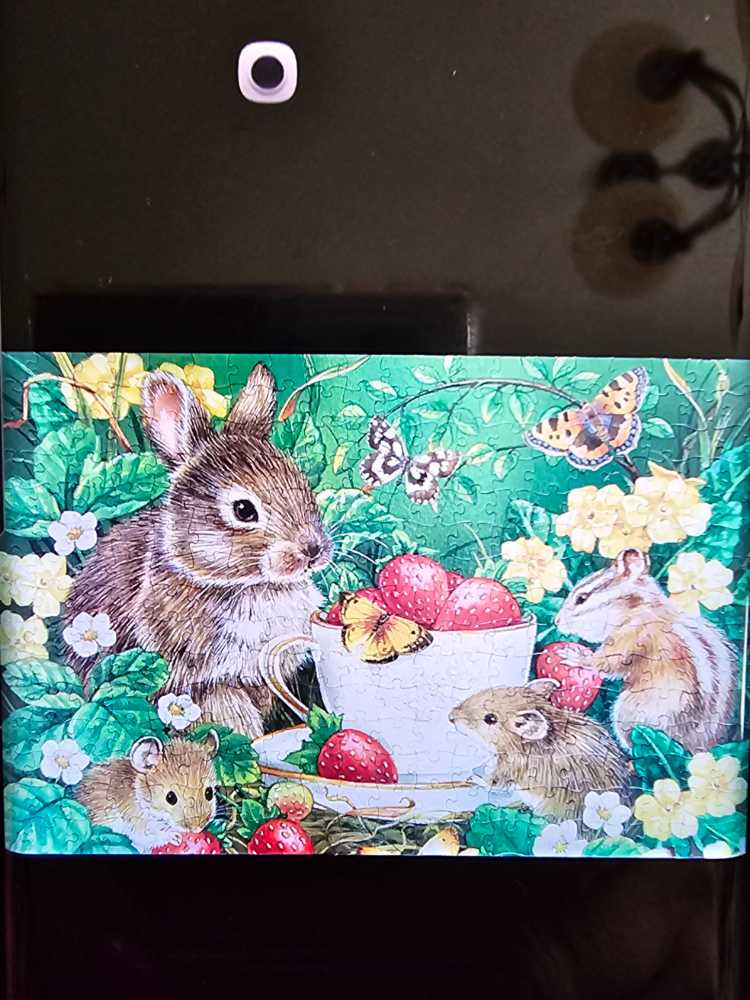 Romeo And Juliet (NIB) 🧩