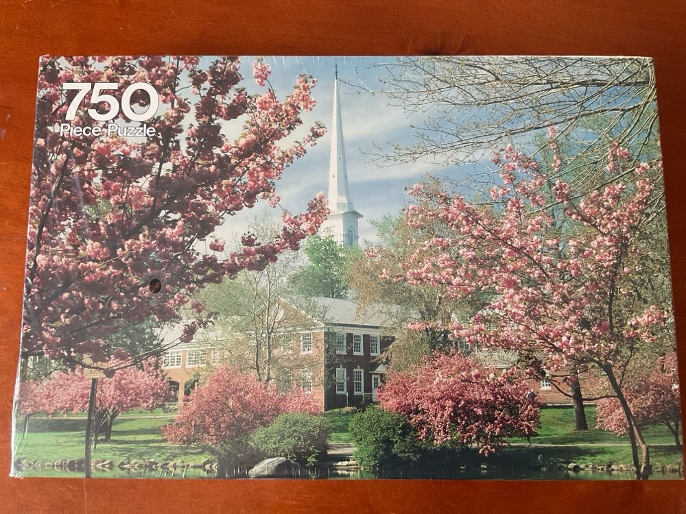 A Lot Of Christmas Trees