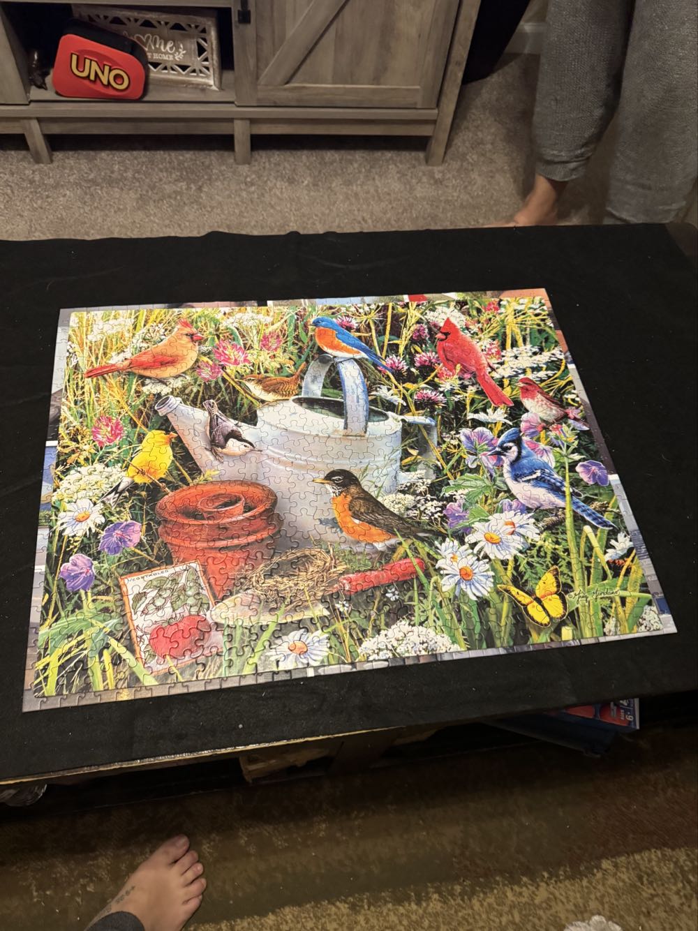 Garden Birds Jenn - Ceaco puzzle collectible [Barcode 021081241885] - Main Image 2