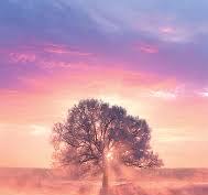 Charles Wysocki’s Americana: - Pretty Penny Square