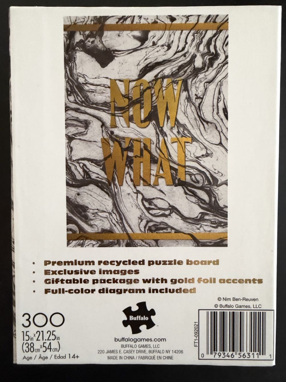 Now What - Buffalo Games puzzle collectible [Barcode 079346563111] - Main Image 3