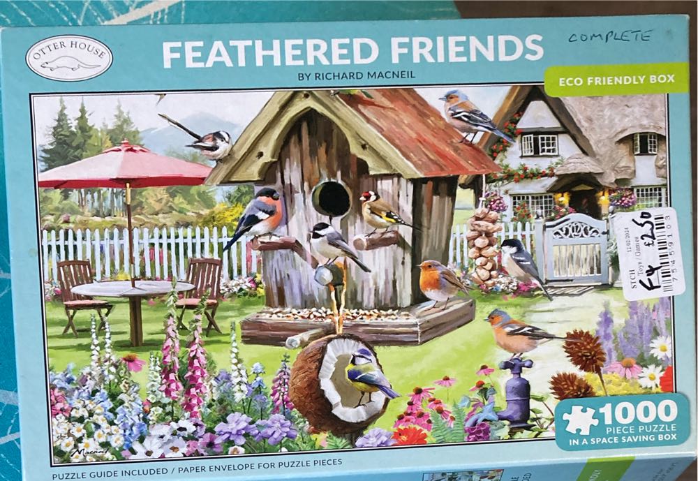 Caught By A Sunbeam🟦