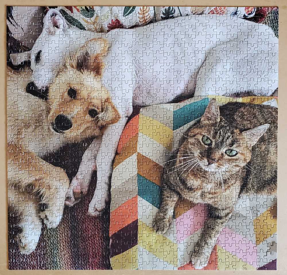Friends For Life Nala, Yasuki & Charlie - 1bike1world puzzle collectible - Main Image 2