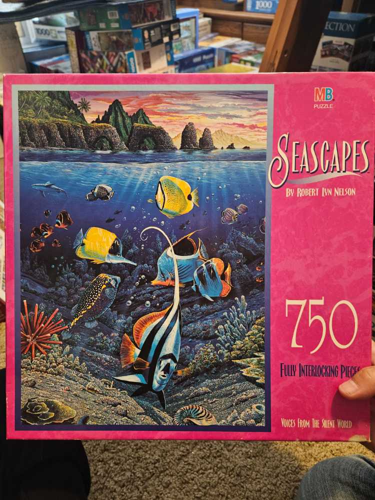 Star Wars The Mandalorian X