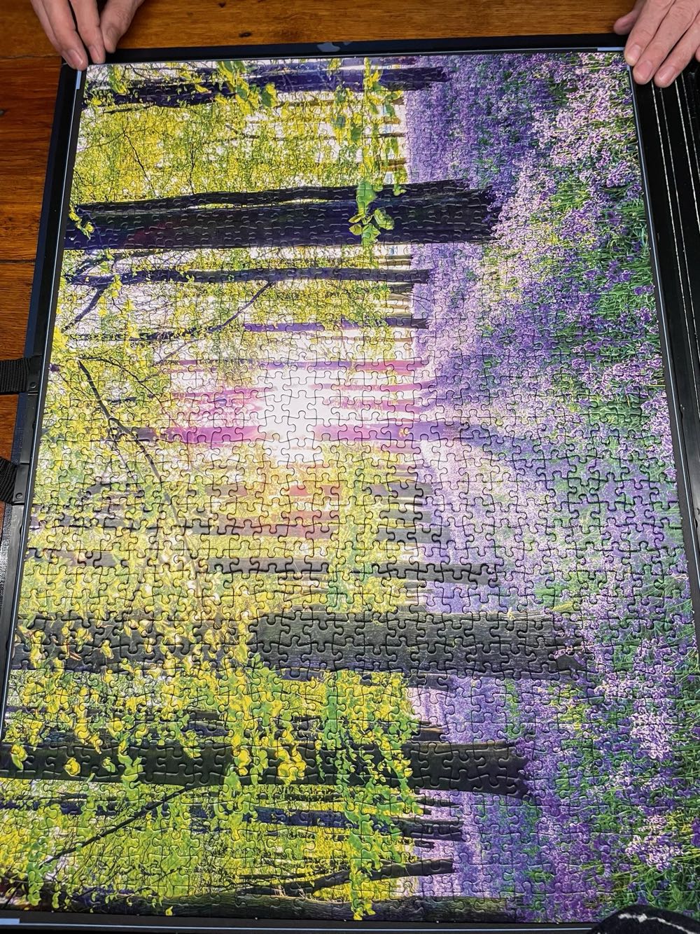 Zarte Glockenblumen im Wald - Schmidt🇩🇪 puzzle collectible [Barcode 4001504597672] - Main Image 3