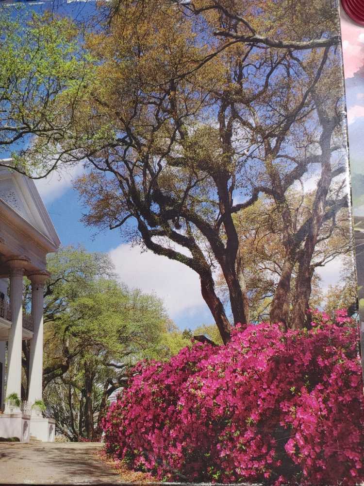 Stanton Hall, Natchez, MS - MB Puzzle / Magnum puzzle collectible [Barcode 032244045509] - Main Image 3