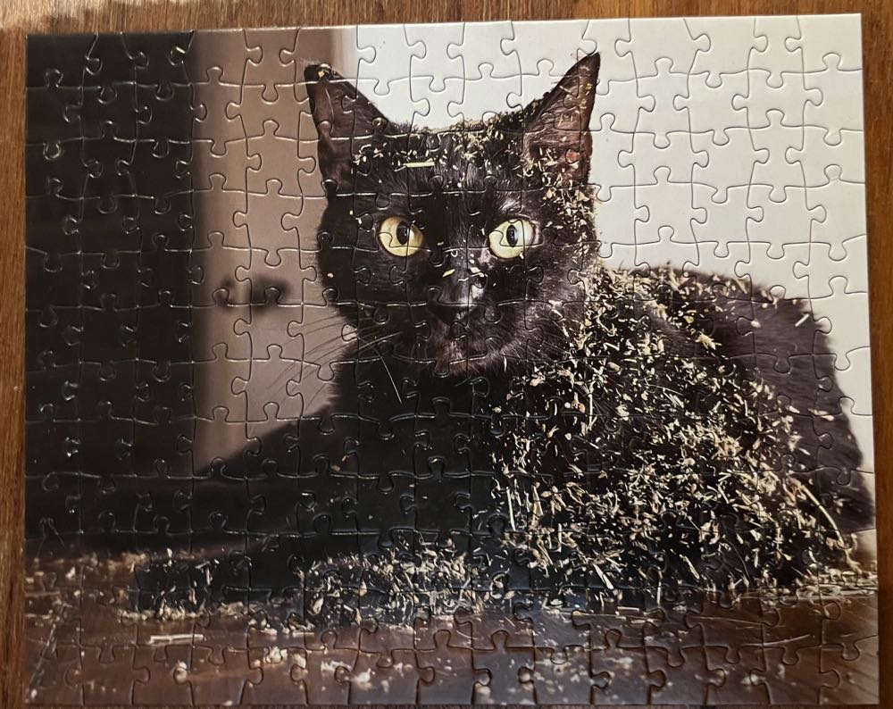 Cats On Catnip Mini NEW - RP Minis puzzle collectible [Barcode 9780762499892] - Main Image 2