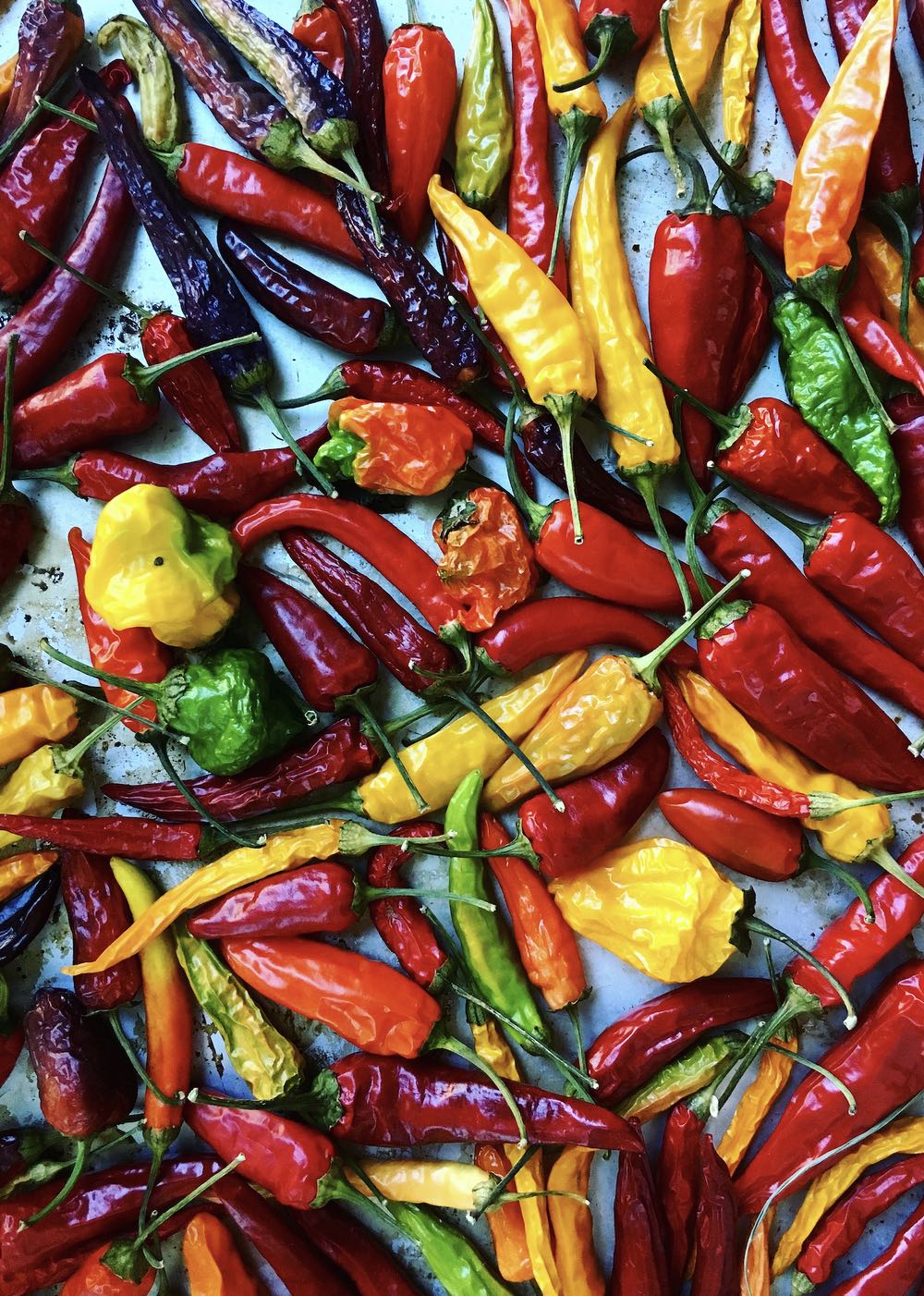 Dryin Peppers - Wright⚡️Kitchen puzzle collectible - Main Image 2