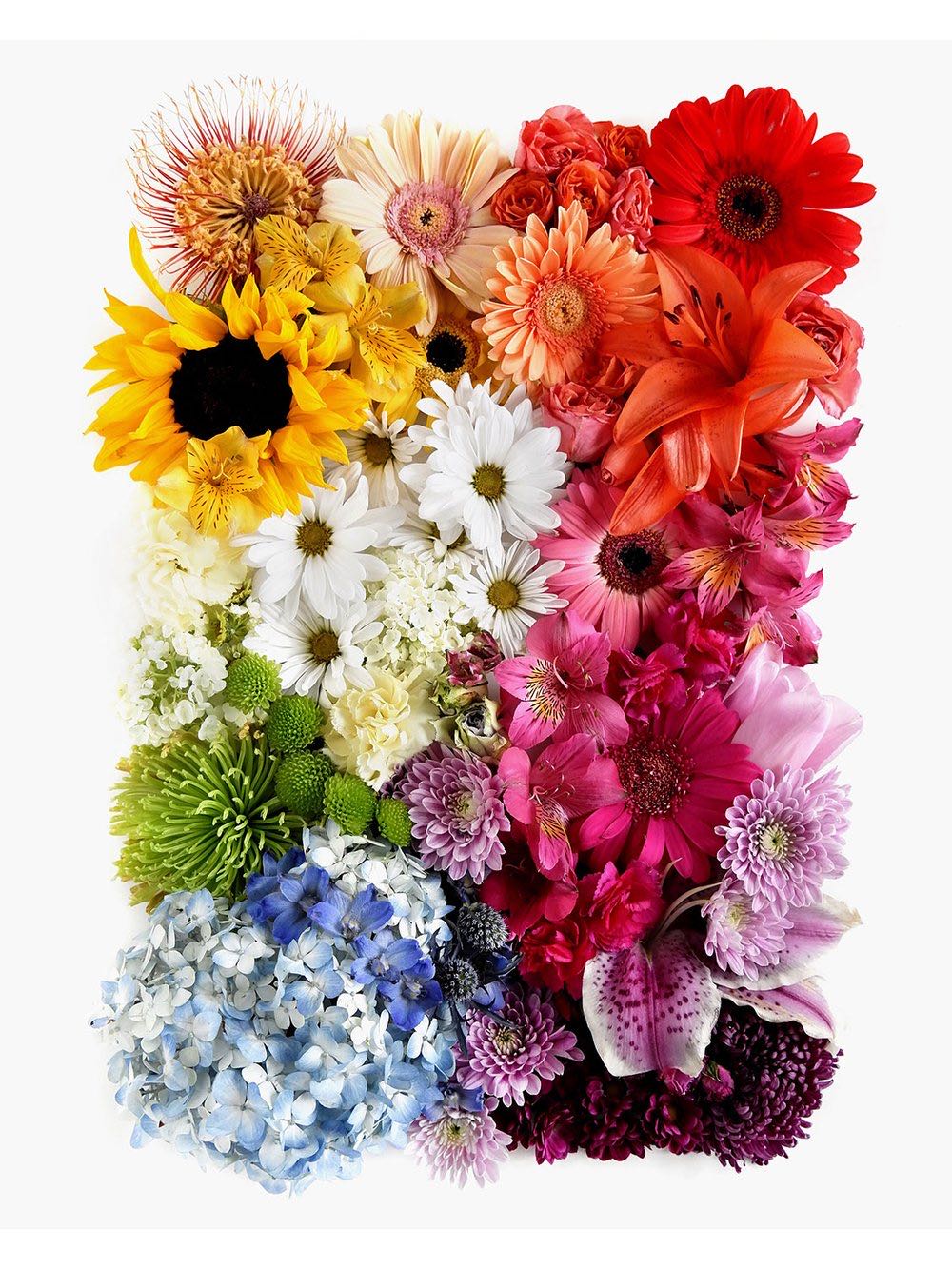 Good Luck Charms At The Market