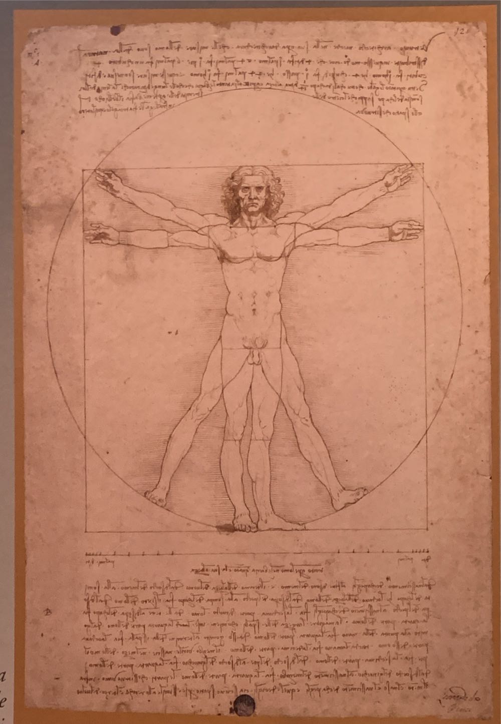 Editions Ricordi: Leonardo Da Vinci’s ‘Schema Delle Proporzioni’ - Ricordi Arte puzzle collectible [Barcode 8006181096506] - Main Image 3