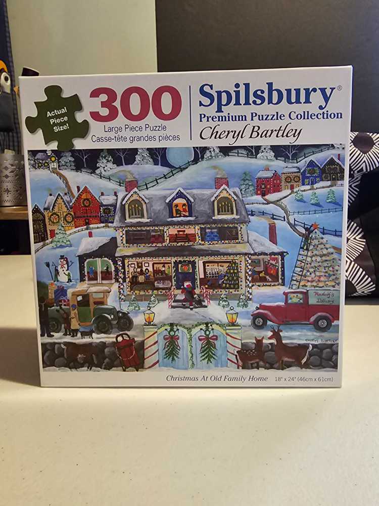 Christmas Cat In The Snow