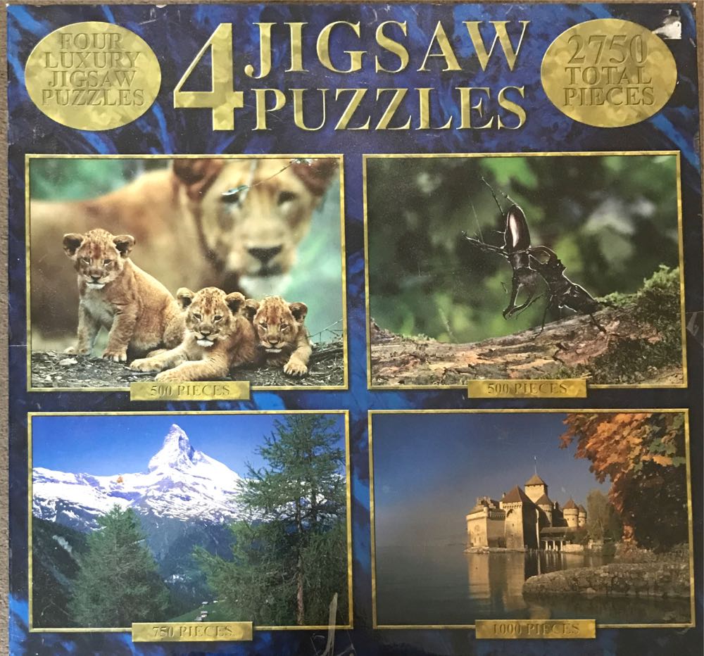 Educa: Great White Shark