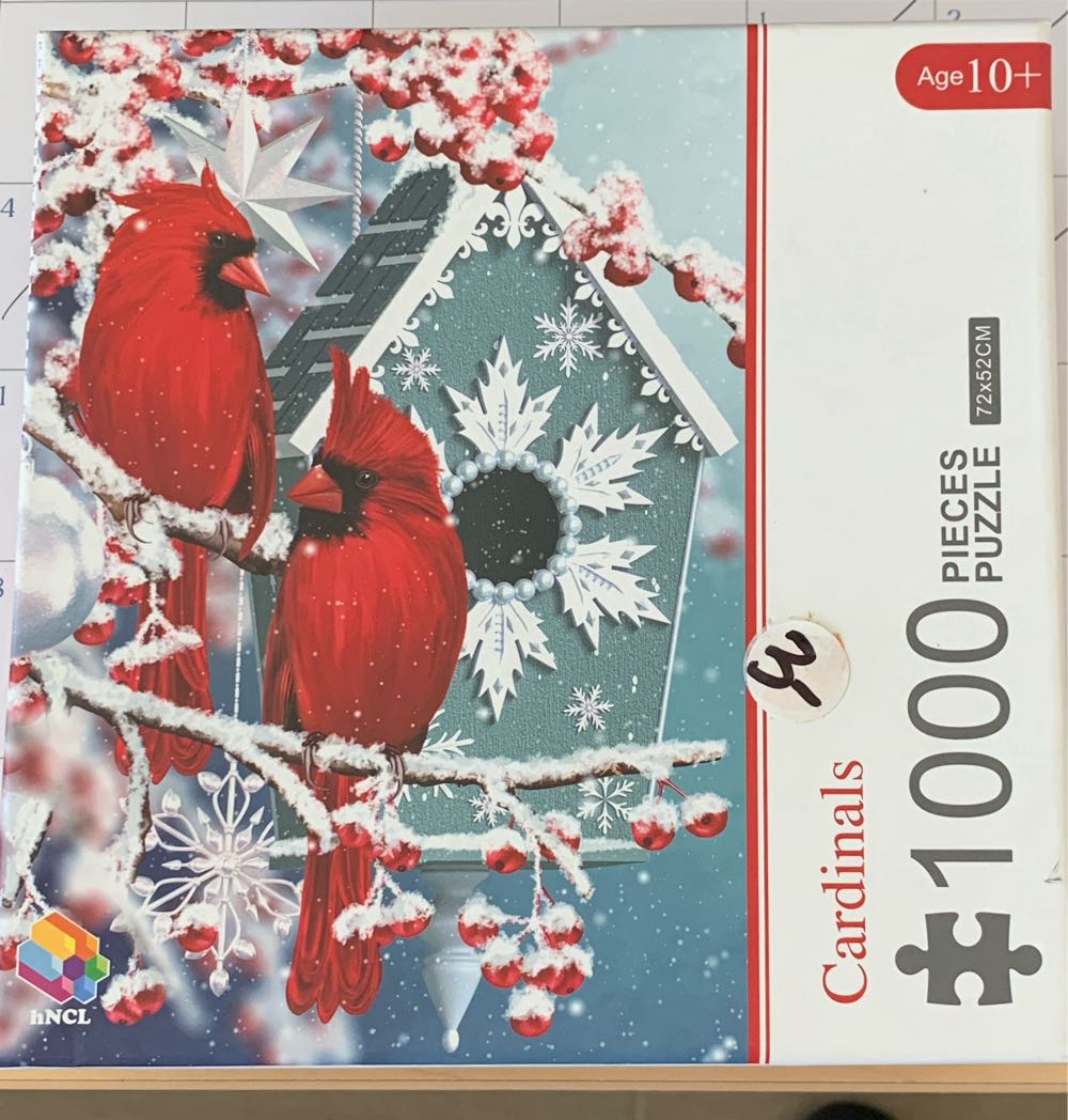 Holiday Resort 3: The Pool 