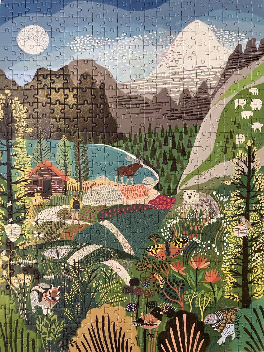 Nocturnal Forest Magic