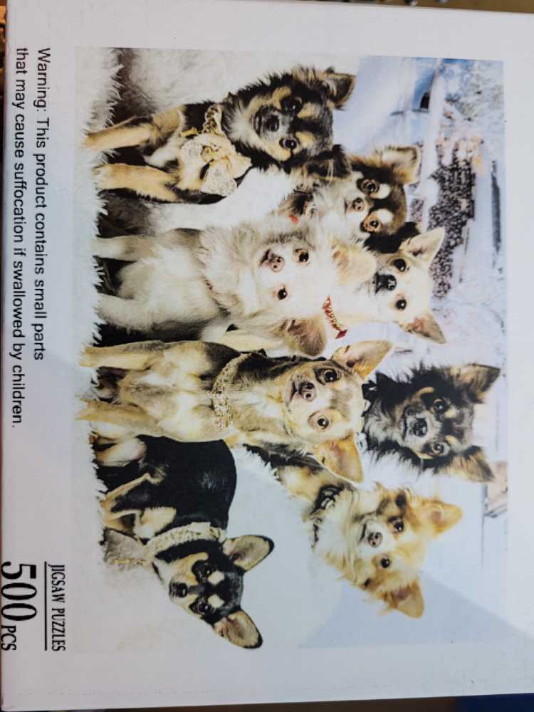 Pokémon - Begin Your Adventure