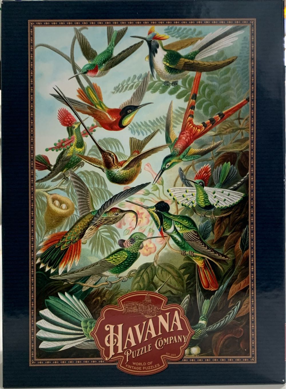 Winter’s Oasis ✅📸