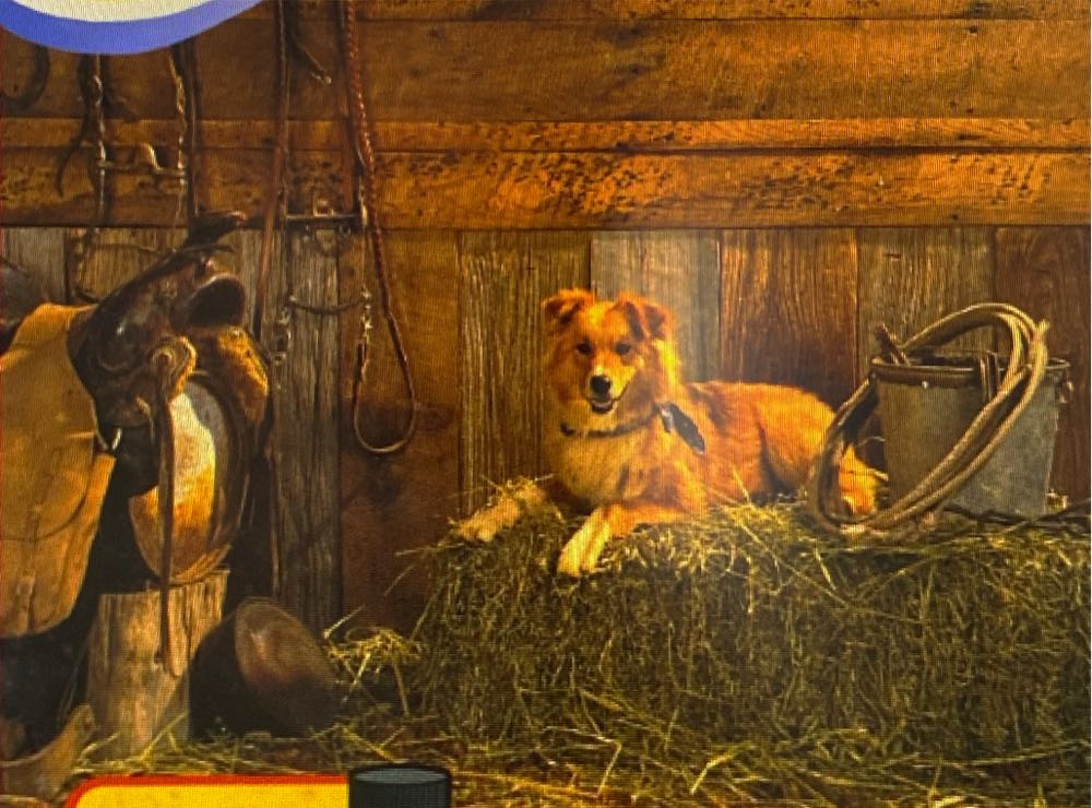 Perspectives : Four Seasons •