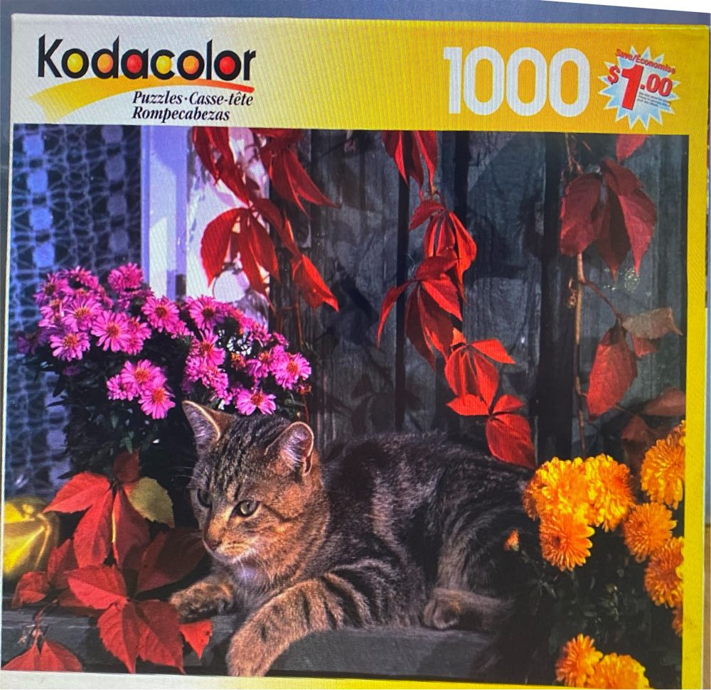 Art Gallery - Cottage Pub