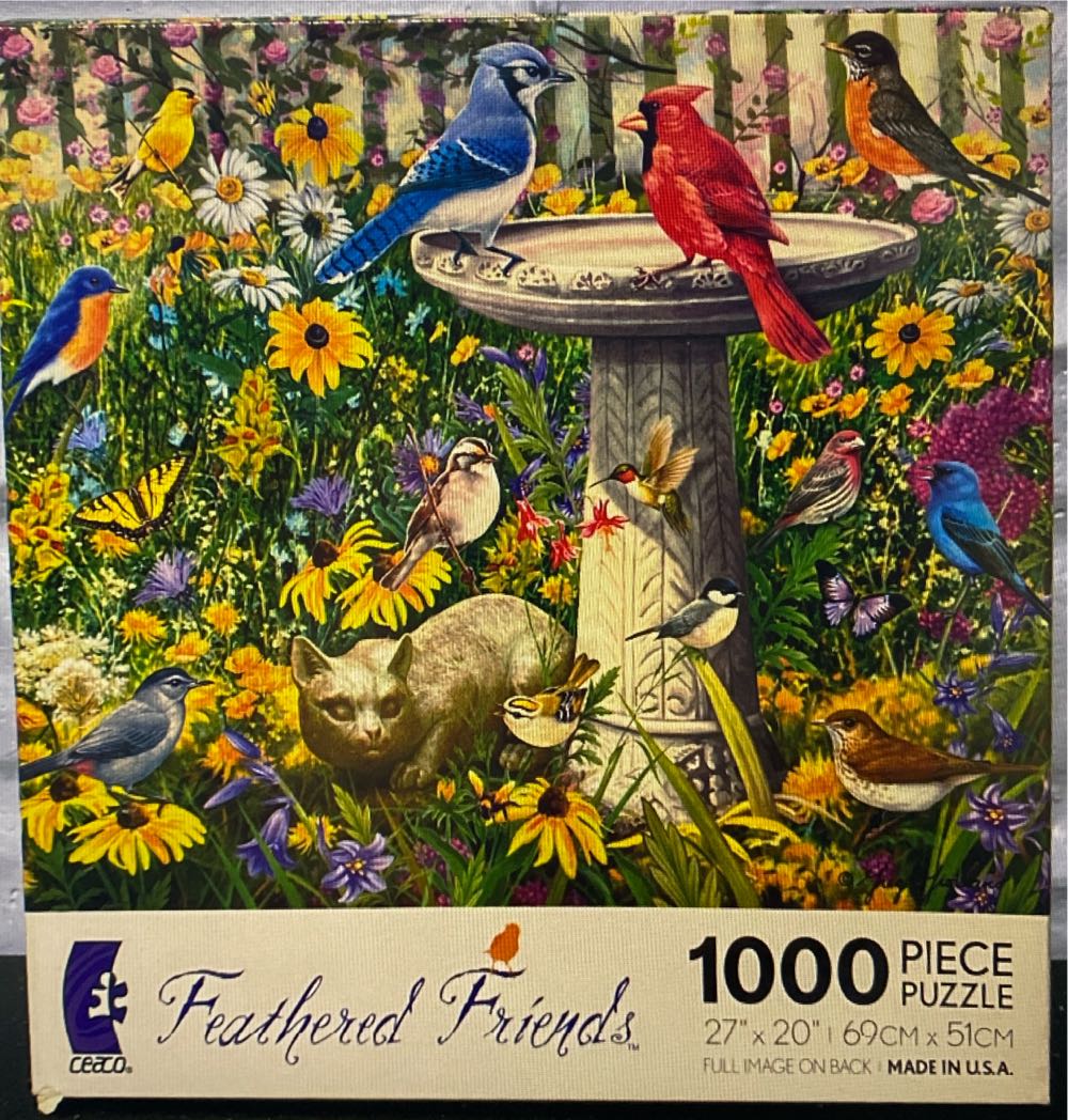 Pokémon - Begin Your Adventure