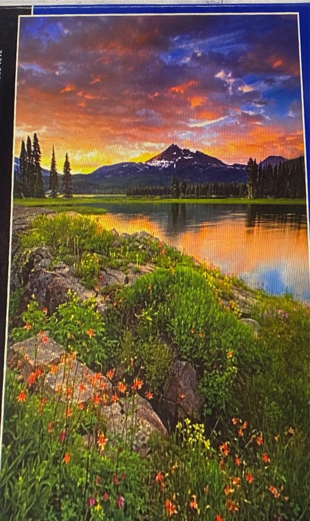 ENJOY- Summer Sunshine