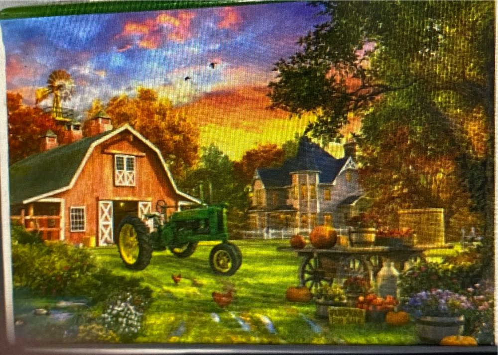 Surf Dogs Beach Treasure