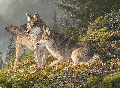 Image 104369