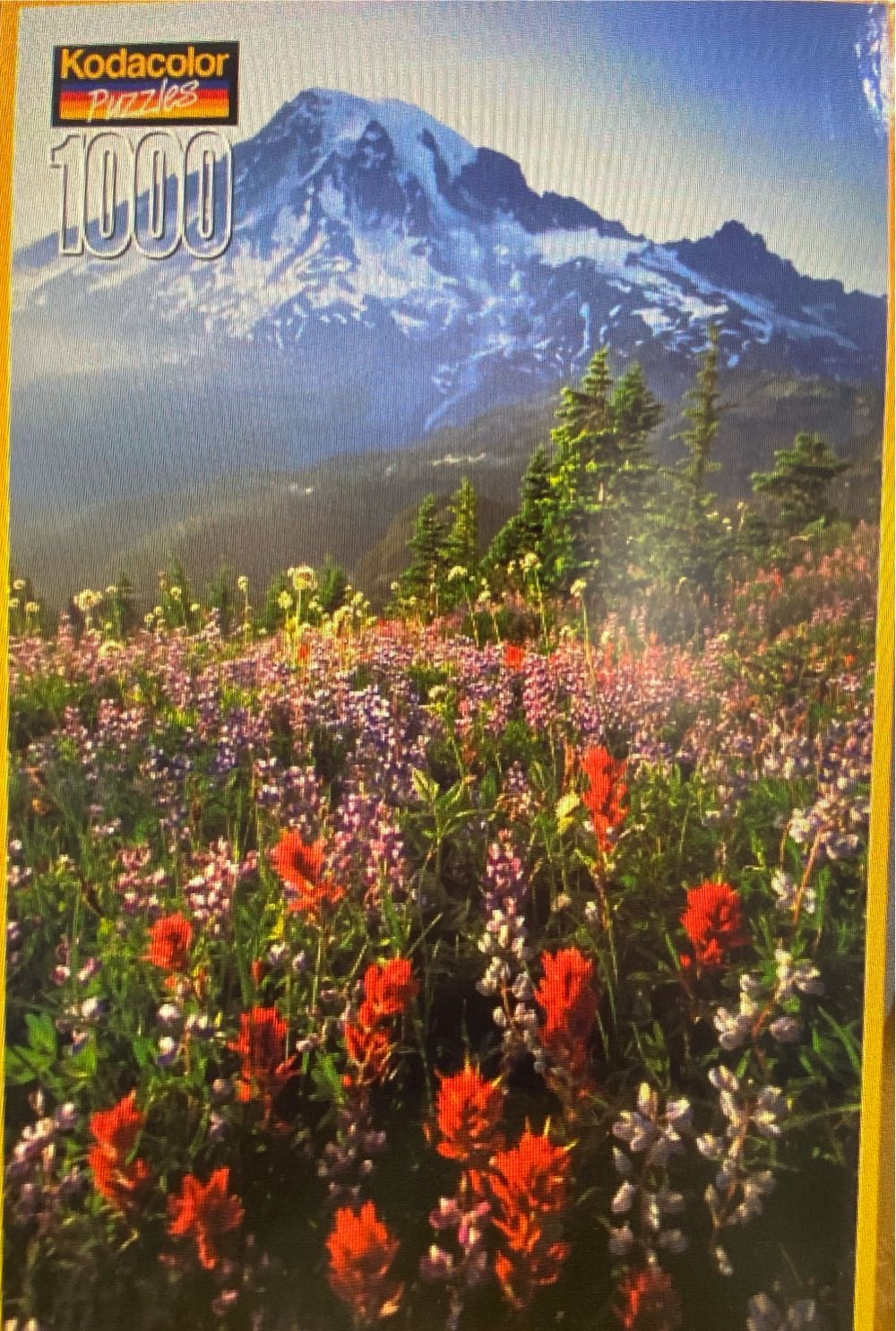 Adventure Seekers Club