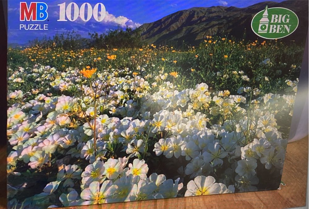 Buffalo Games City Collages Times Square 1000pc Jigsaw Puzzle