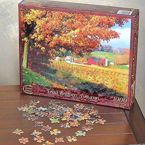 Marine Color : Colorful Ocean