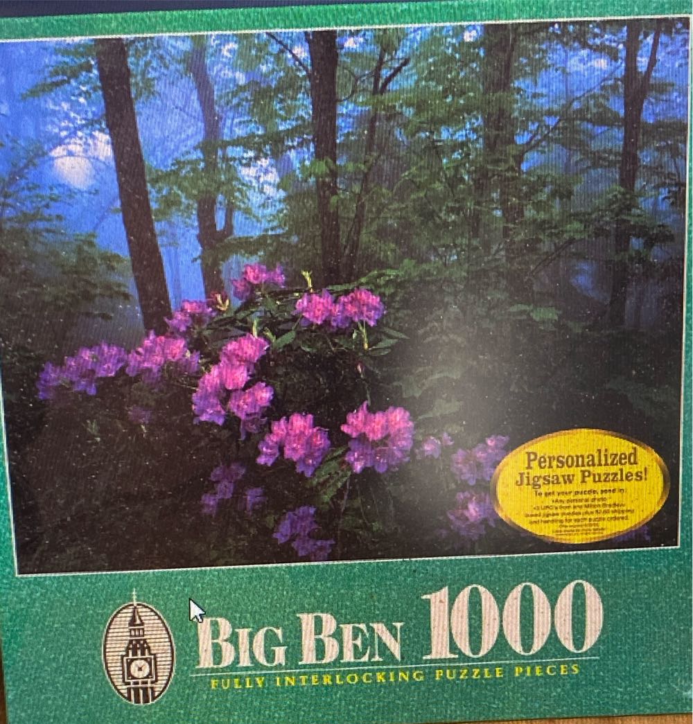 Colorful, Hanging Guitars