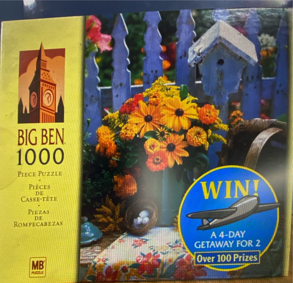 NEW Wishful Window Shopping