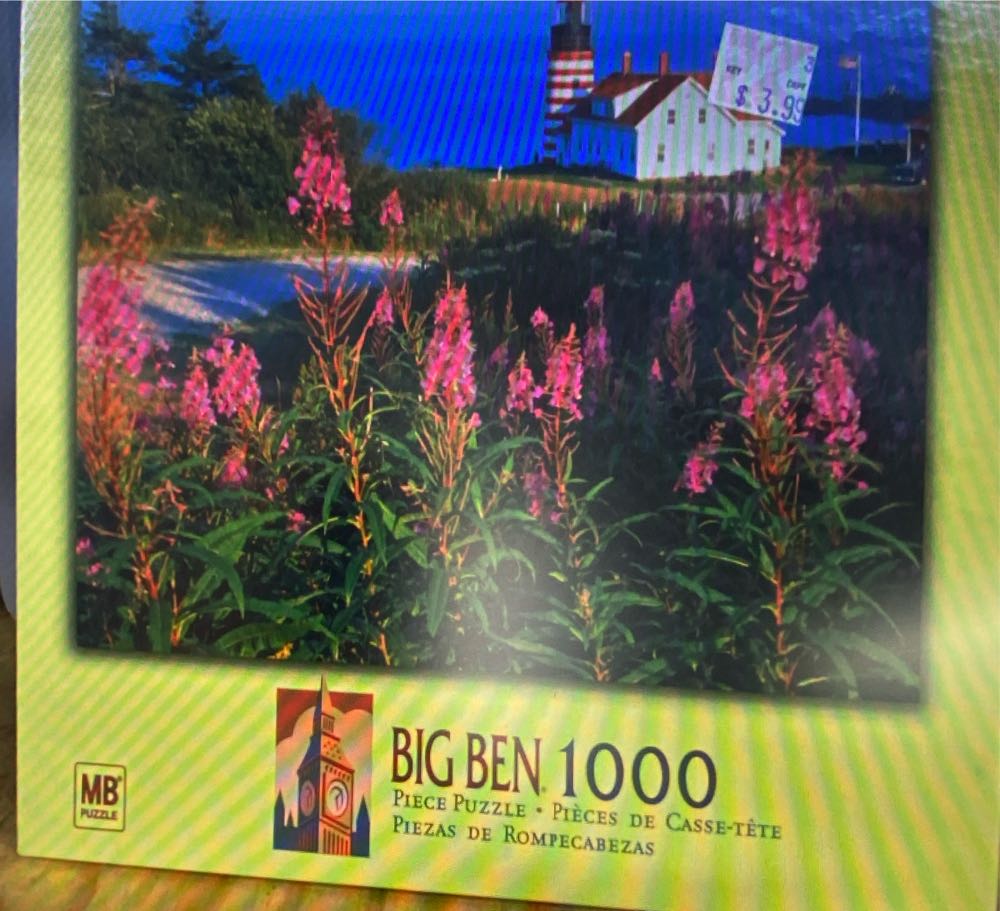 Redwood Forest Tiny House