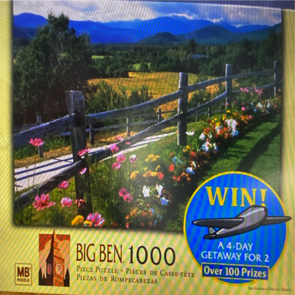 We Care Board Game | Cooperative Game | Strategy Game For Teens And Adults | Board Game For Adults And Family | Ages 14 And Up | 2 To 5 Players | Average Playtime 30 Minutes | Made By Cmon