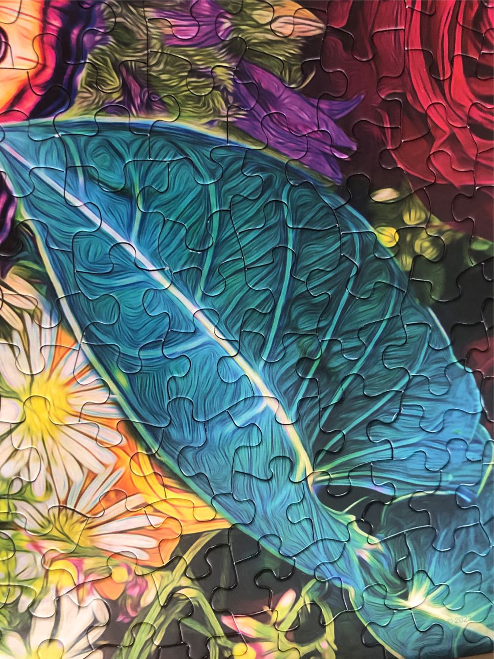 Spring Fever - Springbok puzzle collectible [Barcode 091683025466] - Main Image 4