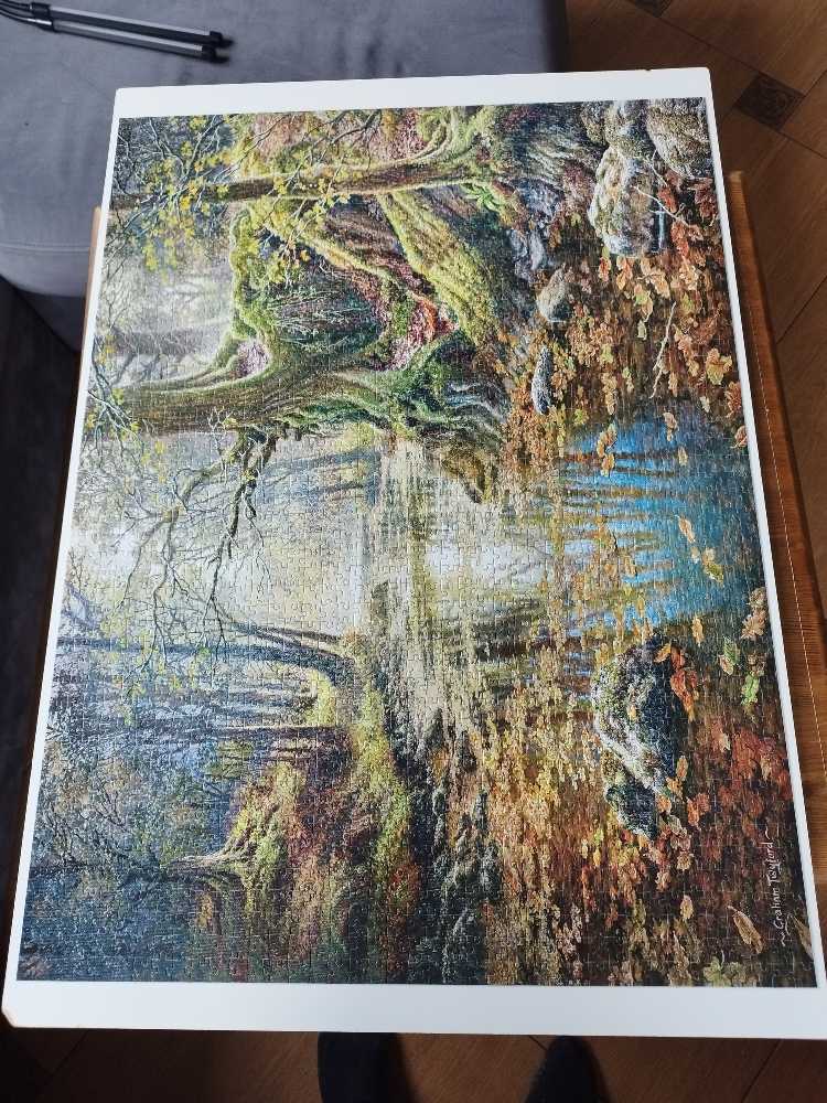 Castorland Reminiscence Of The Autumn Forest C-200757-2 - Castorland 🇵🇱 puzzle collectible [Barcode 5904438200757] - Main Image 3