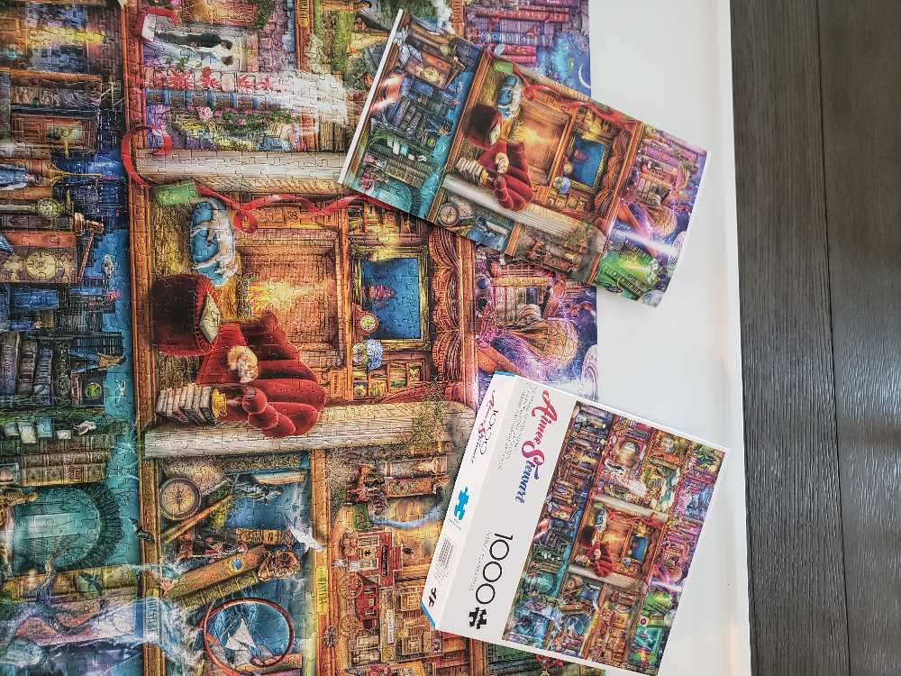 The Grand Fiction Library✅ - Buffalo puzzle collectible [Barcode 079346127528] - Main Image 4